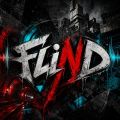 FliND