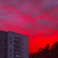 Владимир Горбунов