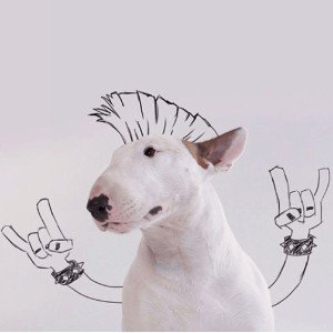 Беги, Саня, Беги!