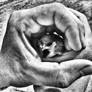 Не просты нашей жизни дороги (рок-баллада)