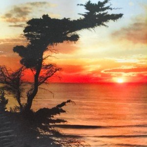 Моему другу (Edit)