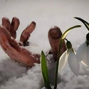 Как хочется жить !