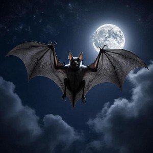 The Ballad of Vlad Dracula (2)