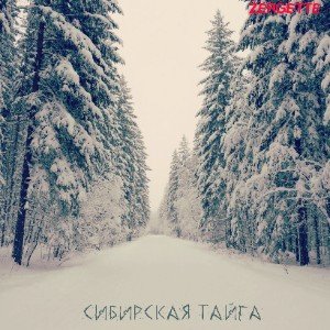 Сибирская Тайга