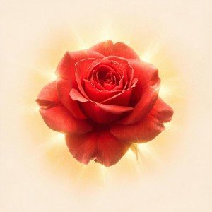 Çok Güzel (Красотка)