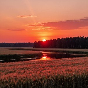 Закат ( инструментал)