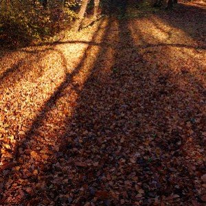 Они шли долго