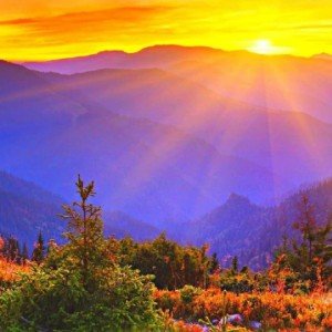 Я люблю этот Мир