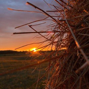 Мятная синь