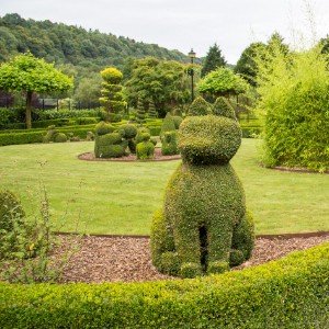 Самый короткий в моей жизни трек