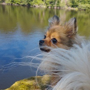 🚂Чемоданное настроение (Edit)