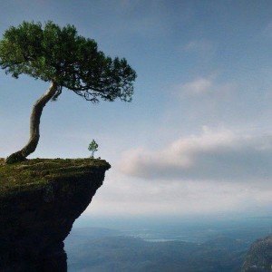 Владеть судьбой