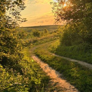 Жизнь бежит без остановки