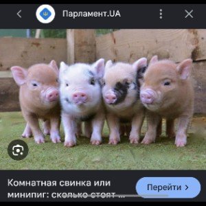 Детки 🫠