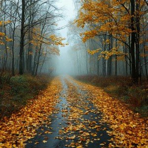 Грустная осень