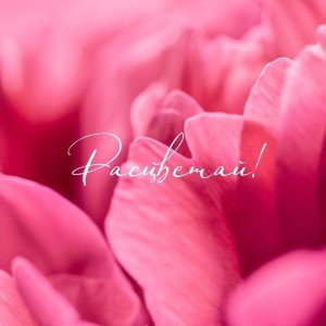 Мой свет...(кавер)