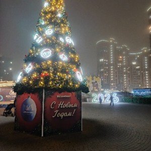 С Рождеством