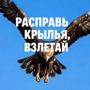 Расправь крылья, взлетай