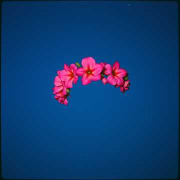 Нет это нет