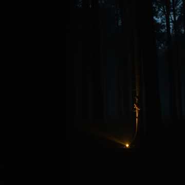 Лес меня выбирает (Edit)