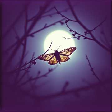 Тёмная магия любви