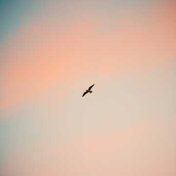 Отступи от края окна