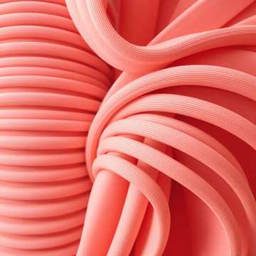 Весна пришла — пора любви