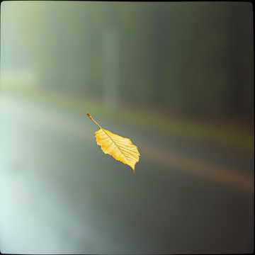 Оставь мне шанс