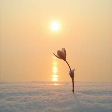 Ты мой рассвет