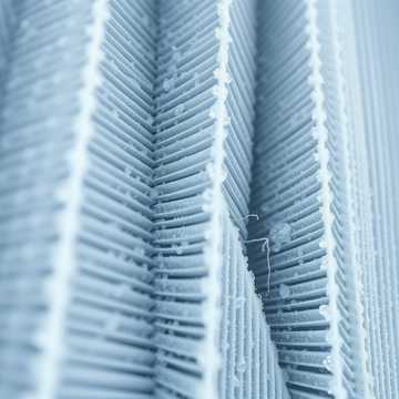 Мой шалопай