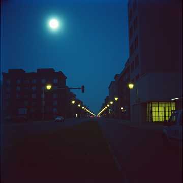 Не покидай меня (стихи Бориса Рыжего)