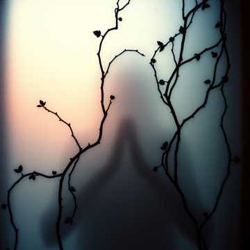 Скрестив руки