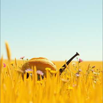 О Русь, взмахни крылами!