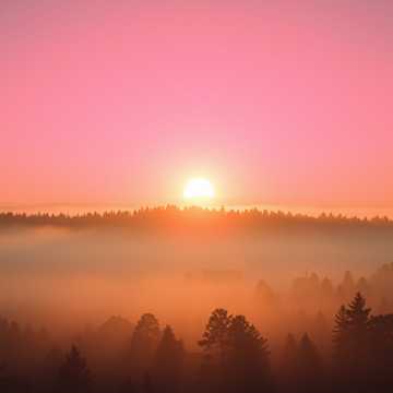 Новый Рассвет