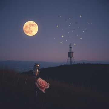 Виновата ли я