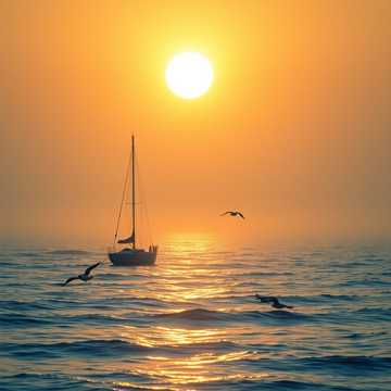 Чудесная жизнь #5