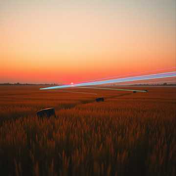 Бескрайнее поле