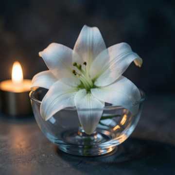 Ольге, моей жене