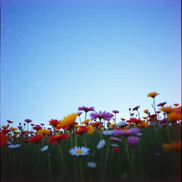 Ну конечно, любовь!