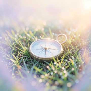 Весенний компас