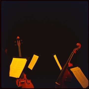 Давай бро к нам