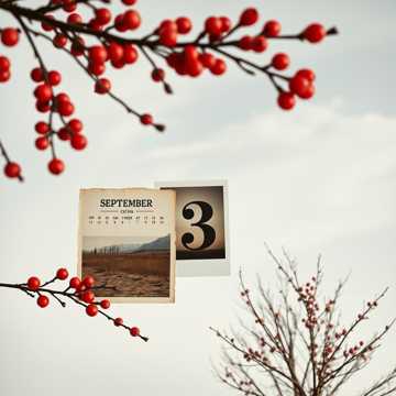 3 сентября #10 (Cover)