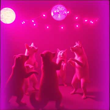 Мой мальчик