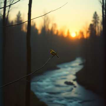 Жизнь прожить