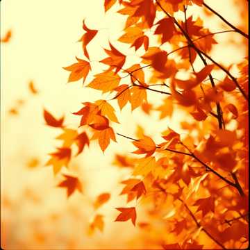 Пошагово (стихи Ксении Ермолаевой)