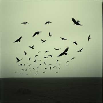 Разные люди