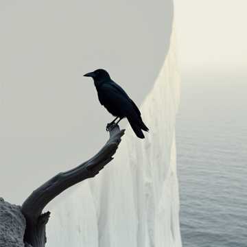 Птицу в небо (Edit) (Edit)