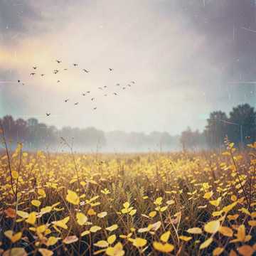 Уходило лето mp3 (Edit)