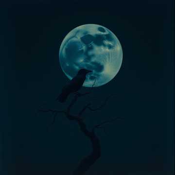 Shadows in the Abyss