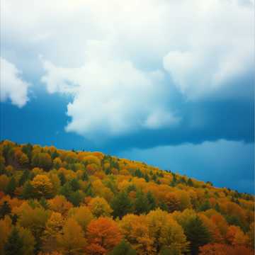 ПОГОНЯ  (полная версия)